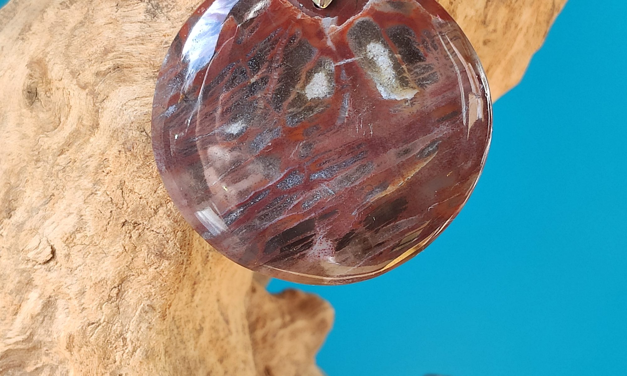 Bois Fossile_Ronde